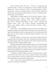 Lietuvos automobilių kelių tinklas, jo plėtros tendencijos ir ypatybės 8 puslapis