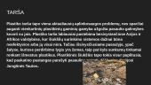 Kokią žalą daro šiukšlių tarša  2 puslapis