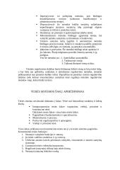 Teisės sistema bei jos sudarymo būdai 4 puslapis