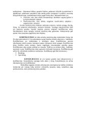 Teisės sistema bei jos sudarymo būdai 7 puslapis