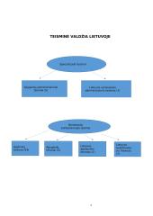 Teisminė valdžia ir pagrindiniai jos principai 5 puslapis