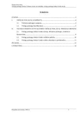 Viešųjų paslaugų teikimas Vilniaus miesto savivaldybėje: viešųjų paslaugų teikėjo Grinda atvejis 2 puslapis