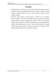 Viešųjų paslaugų teikimas Vilniaus miesto savivaldybėje: viešųjų paslaugų teikėjo Grinda atvejis 13 puslapis