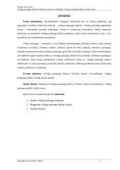 Viešųjų paslaugų teikimas Vilniaus miesto savivaldybėje: viešųjų paslaugų teikėjo Grinda atvejis 3 puslapis