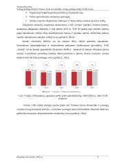 Viešųjų paslaugų teikimas Vilniaus miesto savivaldybėje: viešųjų paslaugų teikėjo Grinda atvejis 9 puslapis
