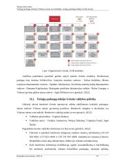 Viešųjų paslaugų teikimas Vilniaus miesto savivaldybėje: viešųjų paslaugų teikėjo Grinda atvejis 10 puslapis