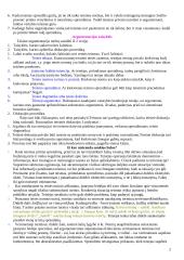 Teisinė argumentacija 2 puslapis