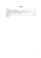 Akcinės bendrovės „Rokiškio sūris“ finansinės rizikos valdymo atskleidimų aiškinamajame rašte analizė 2 puslapis