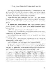 Akcinės bendrovės „Rokiškio sūris“ finansinės rizikos valdymo atskleidimų aiškinamajame rašte analizė 16 puslapis