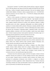 Akcinės bendrovės „Rokiškio sūris“ finansinės rizikos valdymo atskleidimų aiškinamajame rašte analizė 20 puslapis