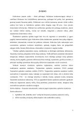 Akcinės bendrovės „Rokiškio sūris“ finansinės rizikos valdymo atskleidimų aiškinamajame rašte analizė 3 puslapis