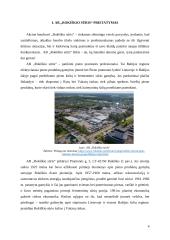 Akcinės bendrovės „Rokiškio sūris“ finansinės rizikos valdymo atskleidimų aiškinamajame rašte analizė 4 puslapis