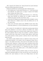 Akcinės bendrovės „Rokiškio sūris“ finansinės rizikos valdymo atskleidimų aiškinamajame rašte analizė 5 puslapis