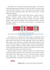 Akcinės bendrovės „Rokiškio sūris“ finansinės rizikos valdymo atskleidimų aiškinamajame rašte analizė 7 puslapis