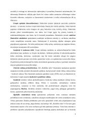 Akcinės bendrovės „Rokiškio sūris“ finansinės rizikos valdymo atskleidimų aiškinamajame rašte analizė 9 puslapis