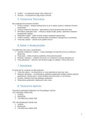 IS testavimo strategija 3 puslapis