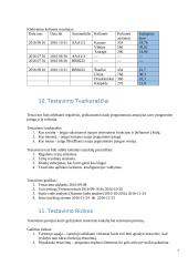 IS testavimo strategija 7 puslapis