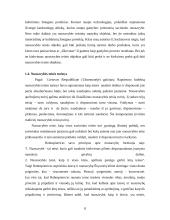 Nuosavybės teisės ribojimas 7 puslapis
