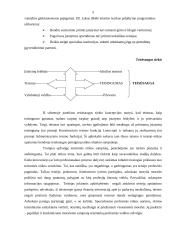 Teisminė etika 4 puslapis