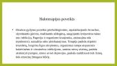 Haloterapija – kas tai? 4 puslapis