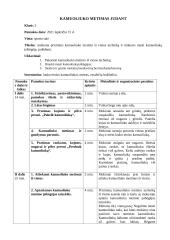 Fizinio ugdymo planas-konspektas 2 puslapis