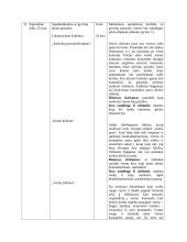 Fizinio ugdymo pamokos planas (pirmai-trečiai klasėms) 2 puslapis