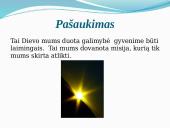 Kas yra pašaukimas 2 puslapis