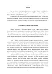 Tiesioginės užsienio investicijos ir jų nauda šaliai 2 puslapis