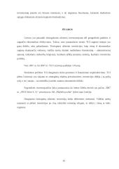 Tiesioginės užsienio investicijos ir jų nauda šaliai 12 puslapis