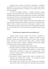 Tiesioginės užsienio investicijos ir jų nauda šaliai 3 puslapis