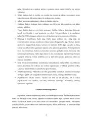 Tiesioginės užsienio investicijos ir jų nauda šaliai 4 puslapis