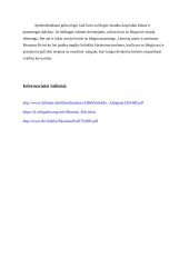 Ar visada prasminga kovoti su blogiu? (Krivickas, Sofoklis) 3 puslapis