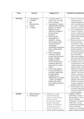 Autorių nagrinėjimas per pagrindines temas