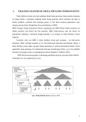 Tikslinio valdymo teorija 5 puslapis