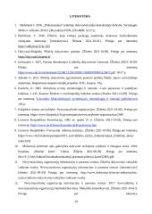 Piliečių dalyvavimo galimybės Klaipėdos miesto savivaldybės viešajame administravime 14 puslapis