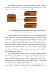 Piliečių dalyvavimo galimybės Klaipėdos miesto savivaldybės viešajame administravime 8 puslapis