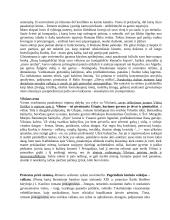 Jurgio Kunčino gyvenimo ir kūrybos apžvalga 7 puslapis