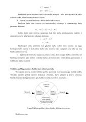 Tinklinio grafiko sudarymas ir parametrų apskaičiavimas 2 puslapis