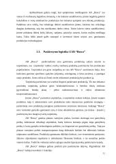 Verslo logistikos procesų ypatumai UAB „Bosca“ 10 puslapis