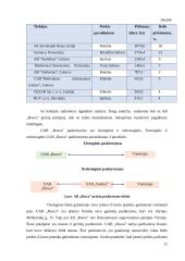 Verslo logistikos procesų ypatumai UAB „Bosca“ 11 puslapis