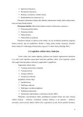 Verslo logistikos procesų ypatumai UAB „Bosca“ 5 puslapis