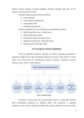 Verslo logistikos procesų ypatumai UAB „Bosca“ 7 puslapis