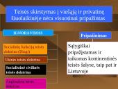 Civilinės teisės paskaitos 13 puslapis