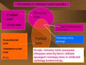 Civilinės teisės paskaitos 17 puslapis
