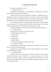 Transportavimas ir sandėliavimas 4 puslapis