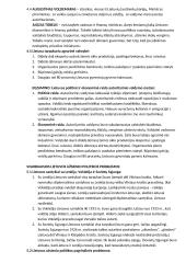 12 klasės istorijos konspektas 13 puslapis