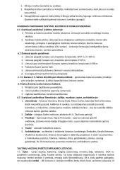 12 klasės istorijos konspektas 14 puslapis