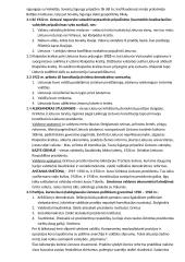 12 klasės istorijos konspektas 10 puslapis