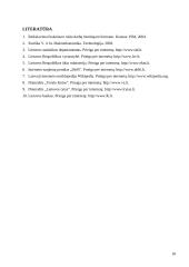 Infliacijos analizė (Baltijos šalyse) 17 puslapis