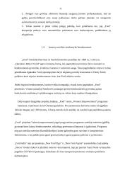 Įmonės „Ford Motor Company“ socialinės atsakomybės analizė  10 puslapis